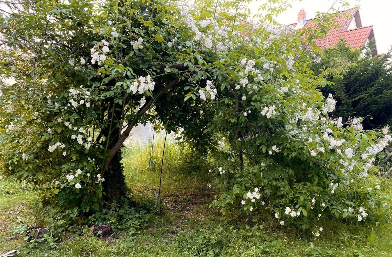 Gronocottage Bad Harzburg Luaran gambar